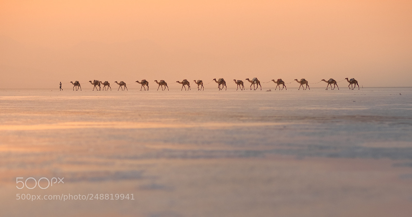 Fujifilm X-T2 sample photo. Danakil camel caravan photography