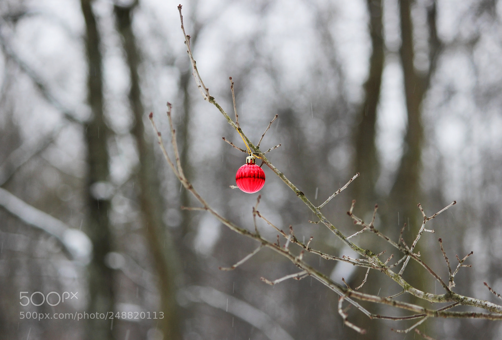 Canon EOS 600D (Rebel EOS T3i / EOS Kiss X5) sample photo. Shiny christmas toy red photography