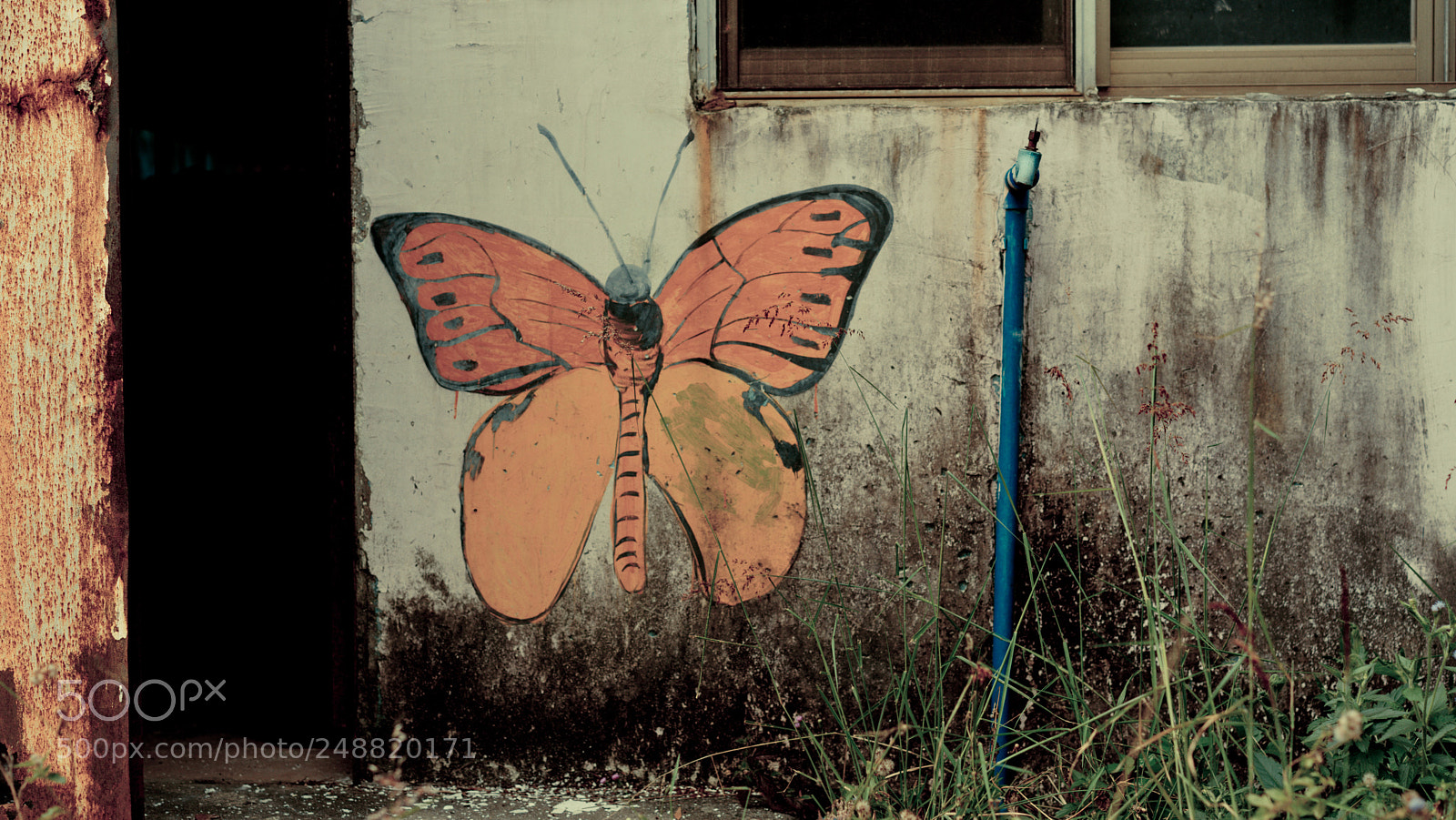 Sony a7 II sample photo. Butterfly in ruins photography