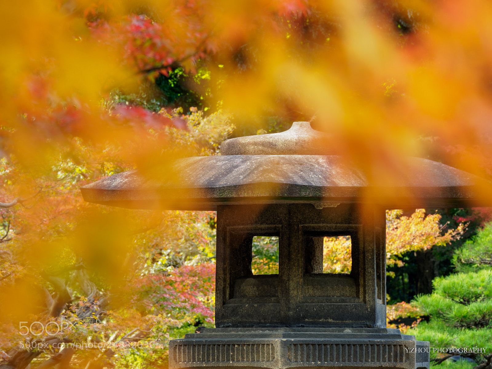 Olympus OM-D E-M1 Mark II sample photo. Stone lantern photography