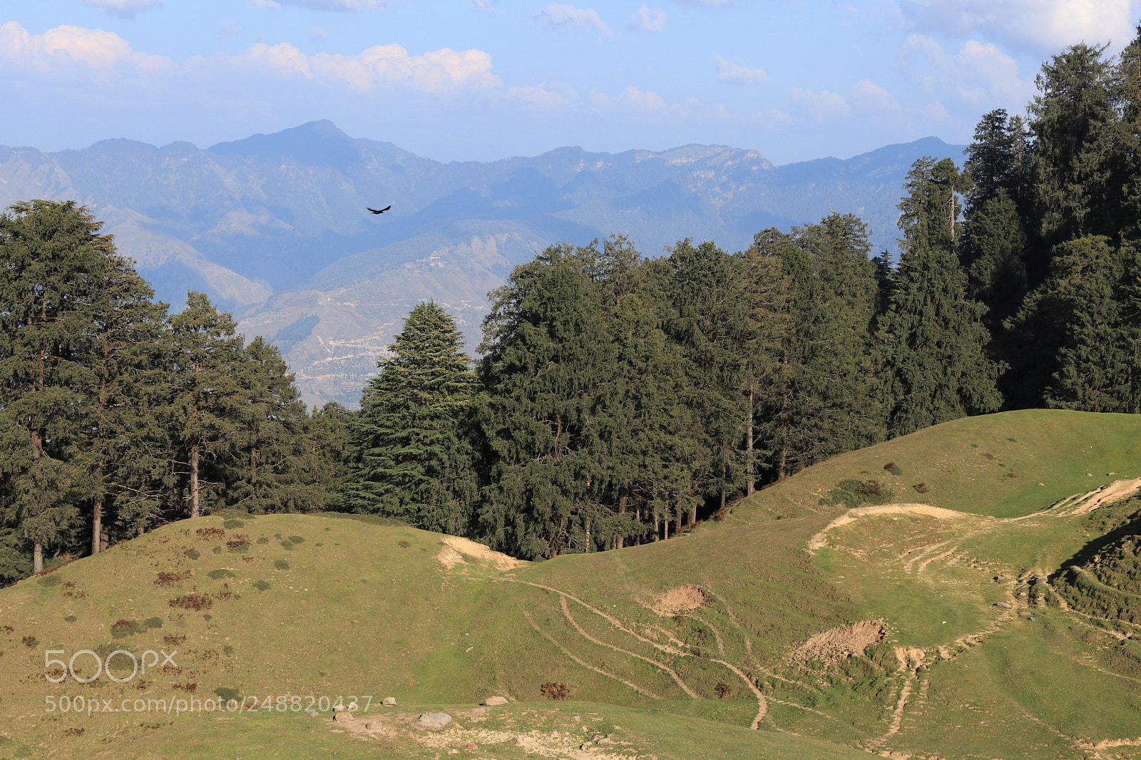 Canon EOS 80D sample photo. Beautiful meadow photography