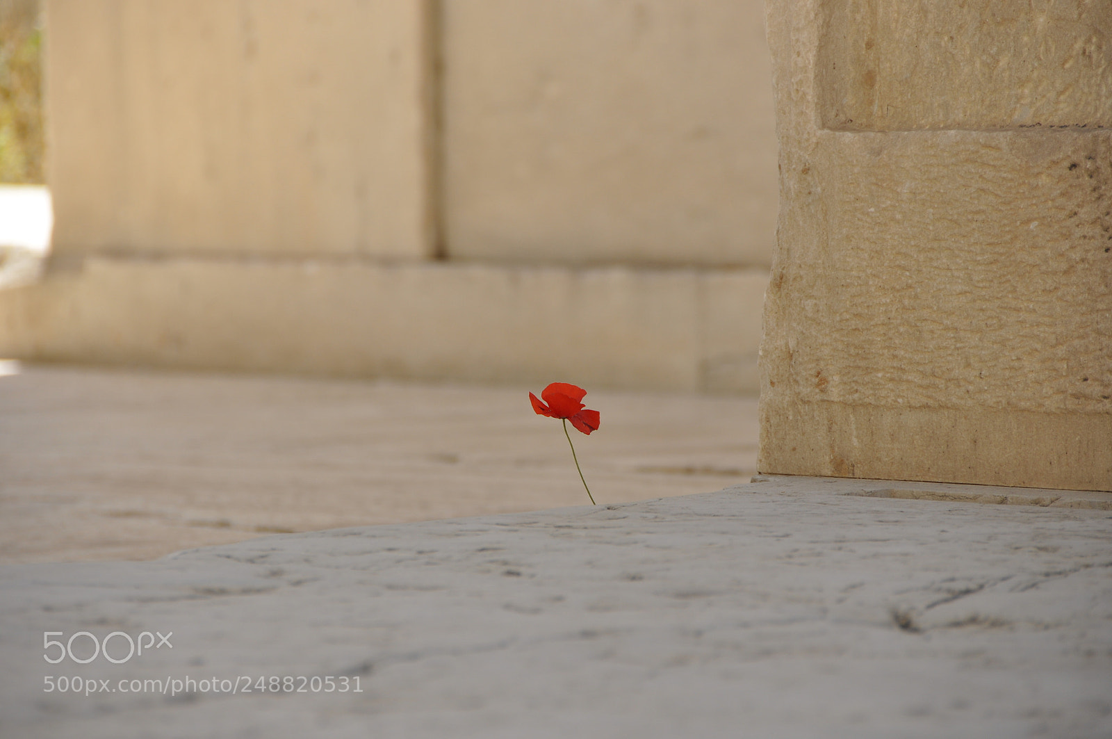 Nikon D90 sample photo. Athens, greece. photography