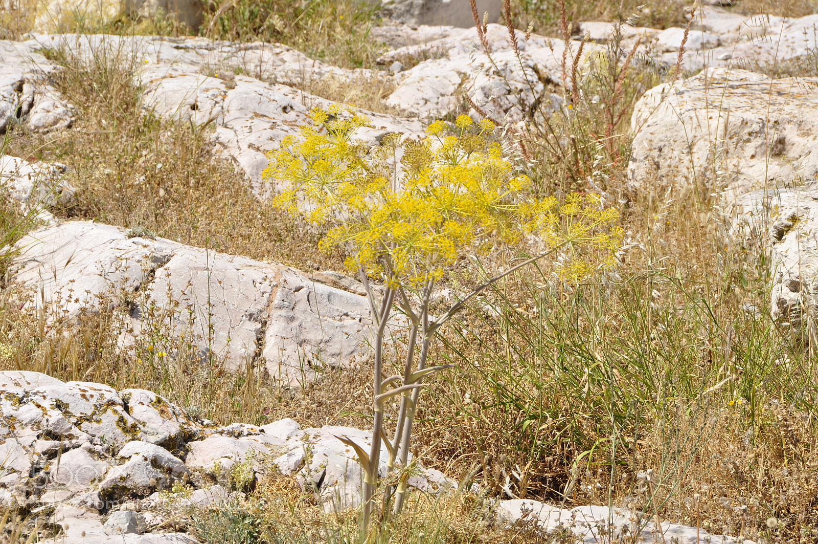 Nikon D90 sample photo. Athens, greece. photography