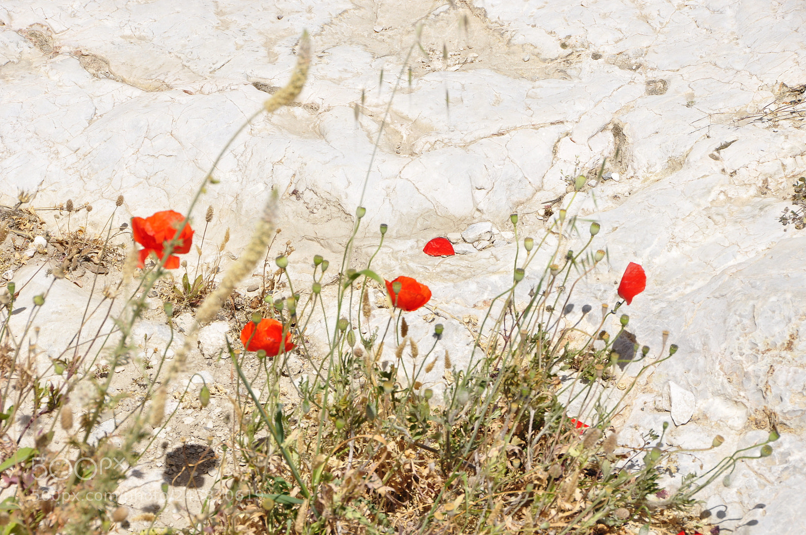 Nikon D90 sample photo. Athens, greece. photography