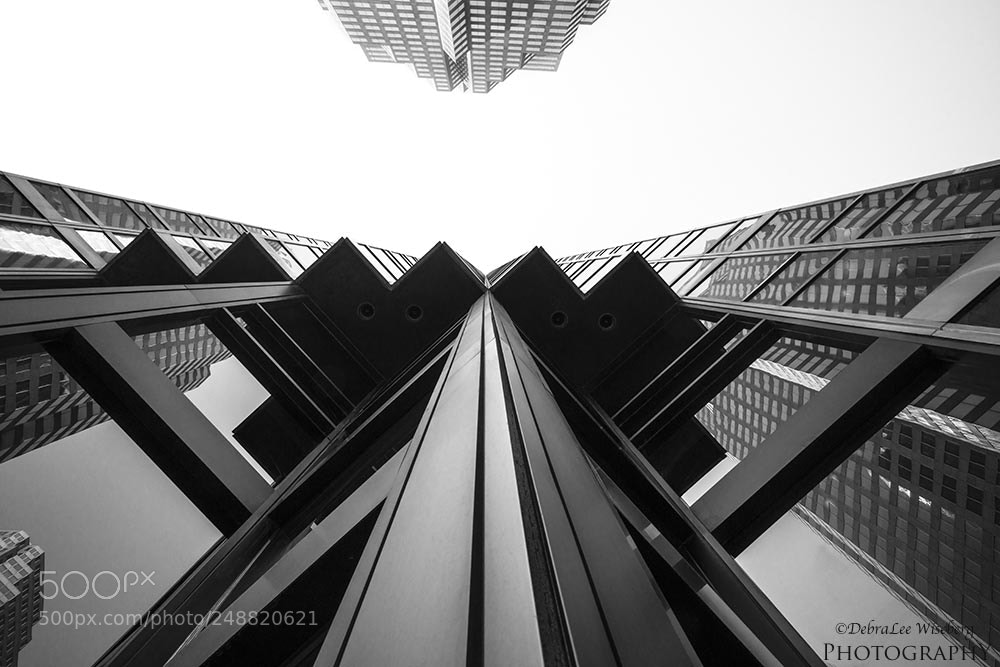 Nikon D800 sample photo. Lines to the sky photography