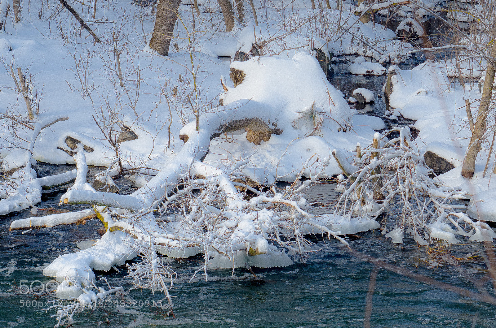 Nikon D7000 sample photo. *** photography