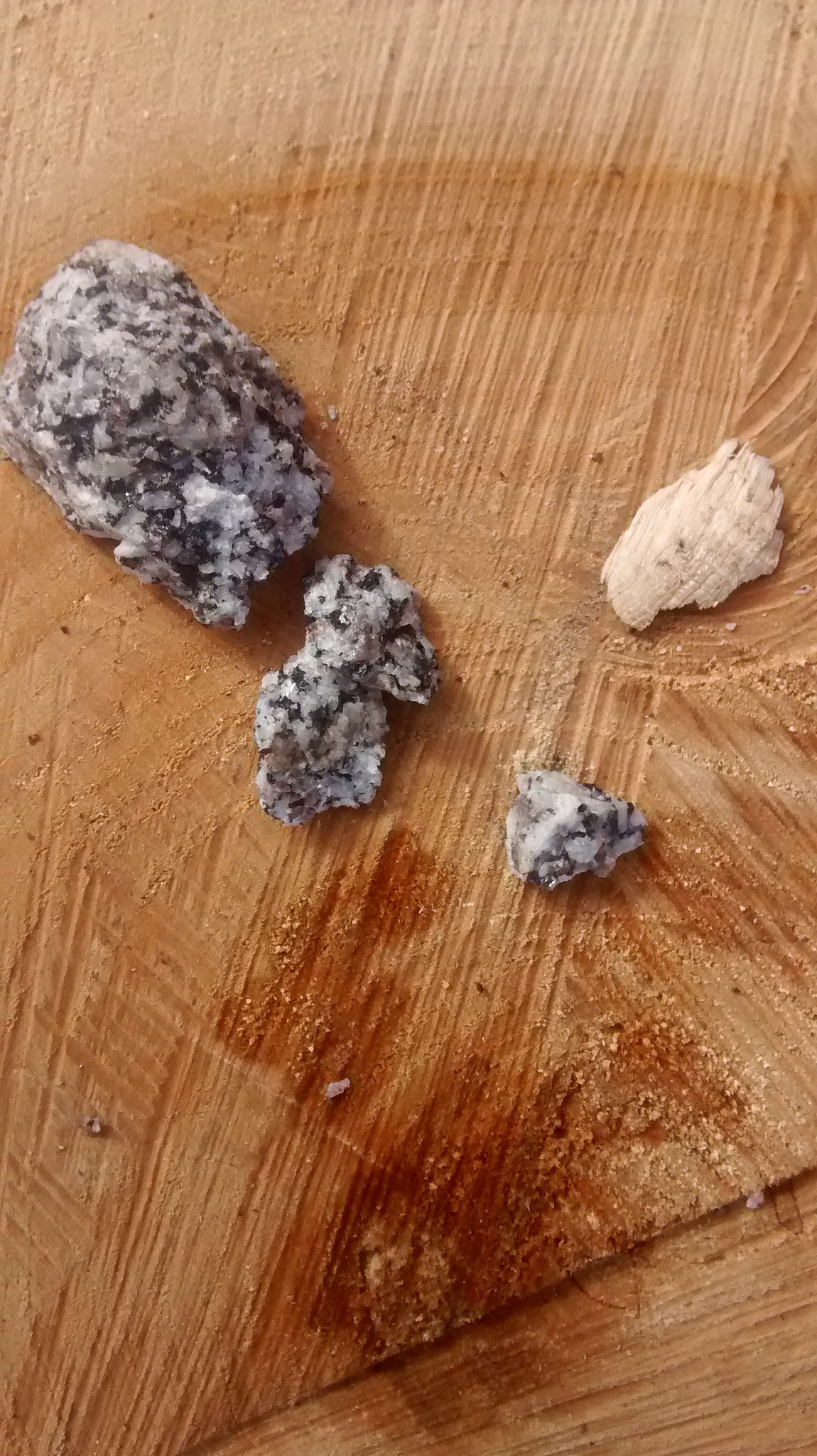 Motorola XT1032 sample photo