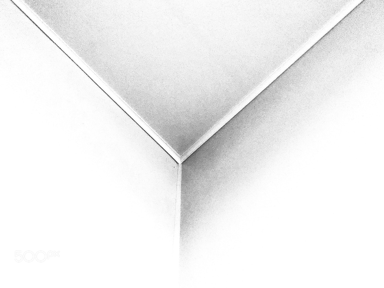 Apple iPhone 8 Plus sample photo. B/w photography
