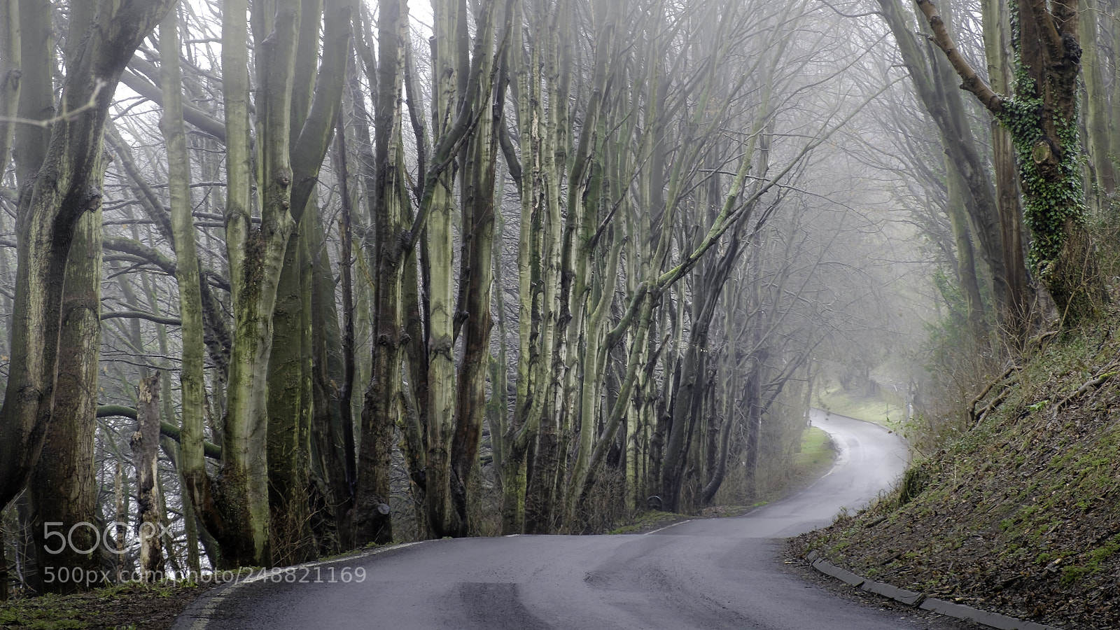 Fujifilm X-T2 sample photo. Long and winding road photography
