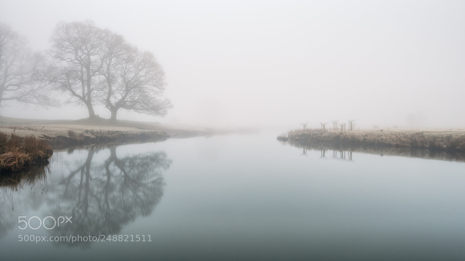 Nikon D810 sample photo. Natures cloak photography