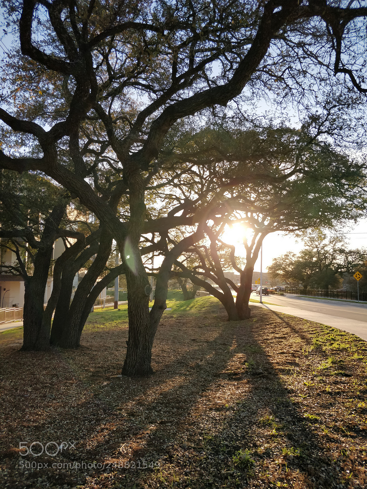 OnePlus 5T sample photo. View the sunset in-between photography