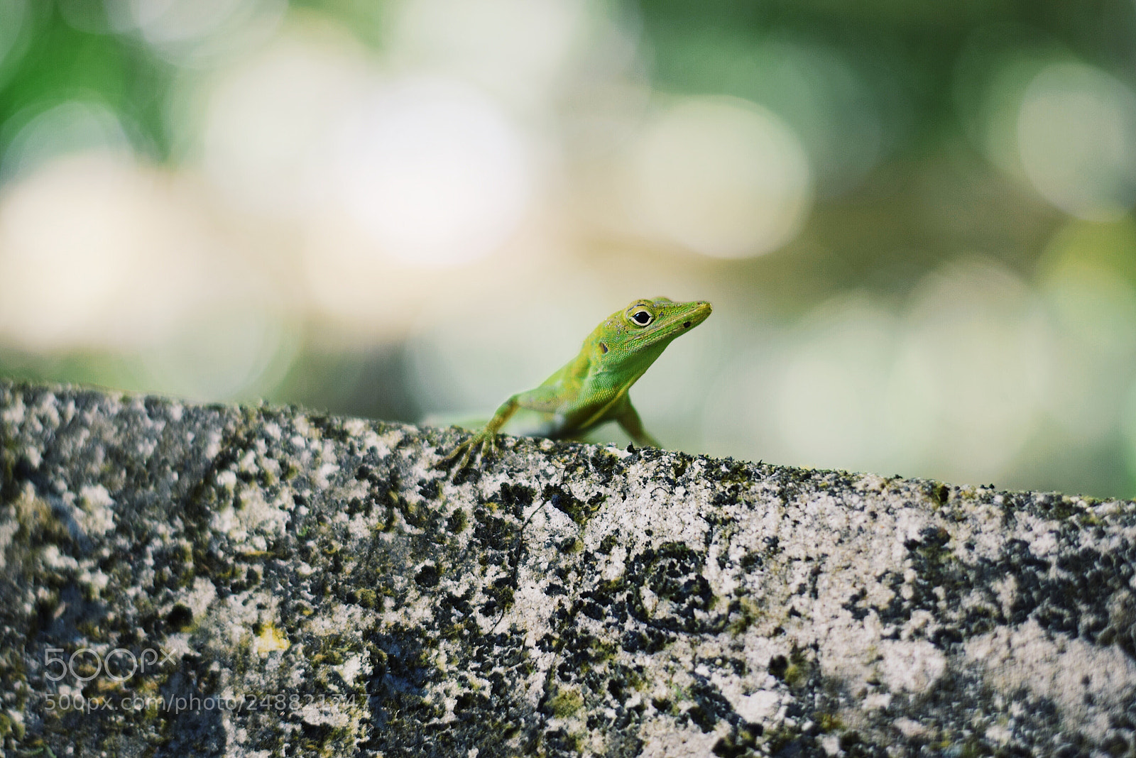 Nikon D3300 sample photo. I miss puerto rico! photography