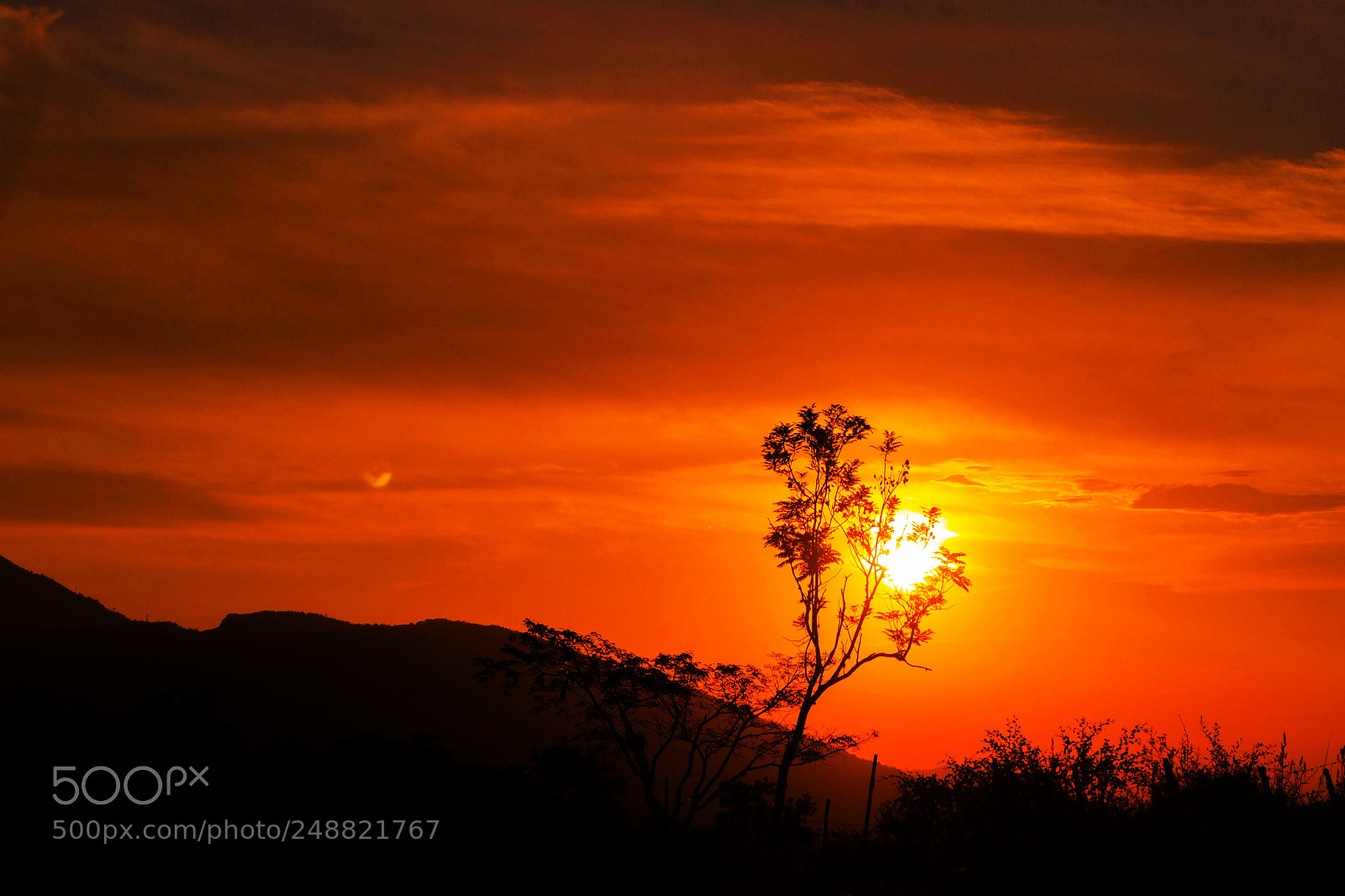 Nikon D3100 sample photo. Sunset photography