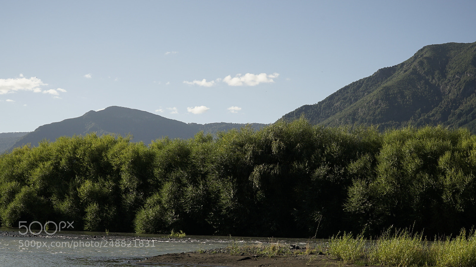 Sony a7 II sample photo. Untitled photography