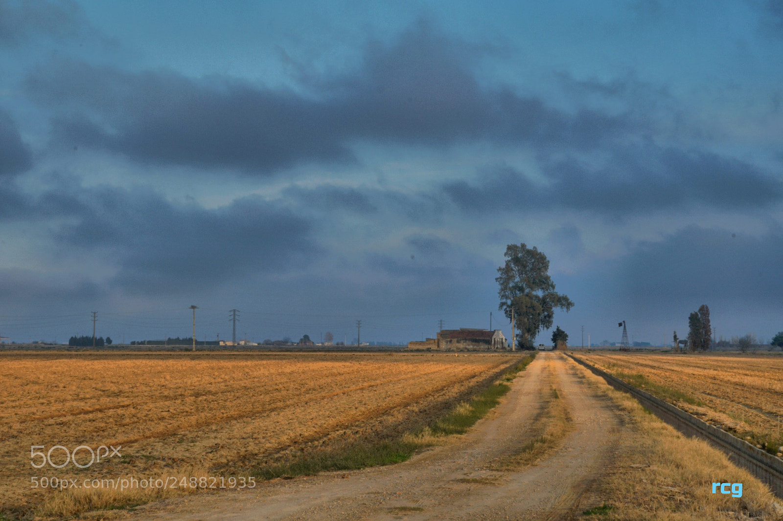 Sony a6300 sample photo. Arrozales,delta del ebro. photography