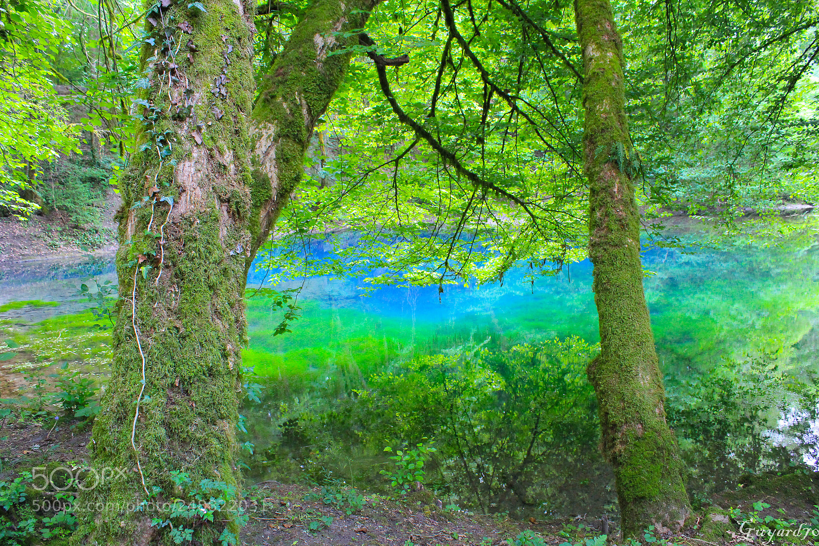 Canon EOS 550D (EOS Rebel T2i / EOS Kiss X4) sample photo. Source du planey photography
