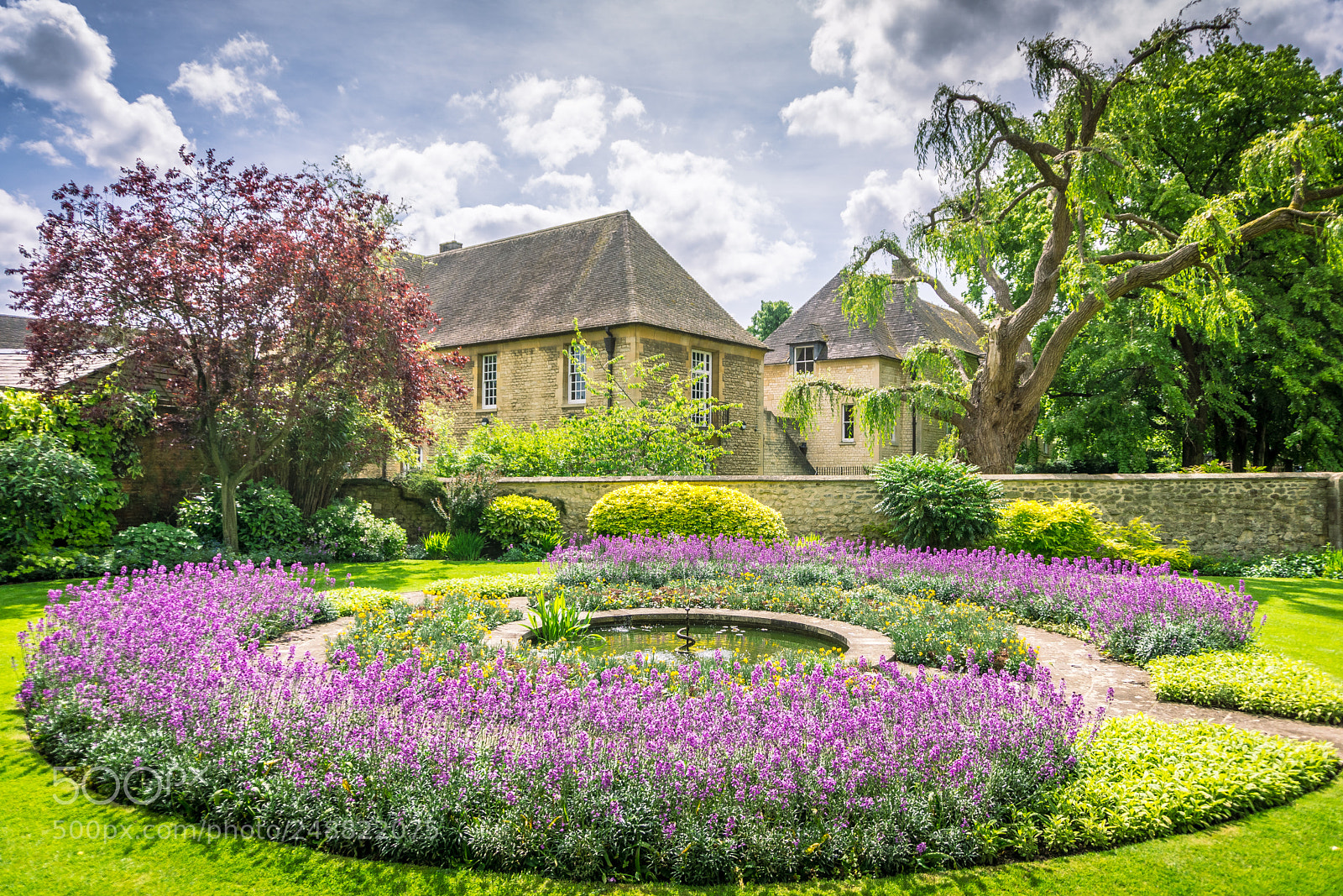 Sony a6000 sample photo. Spring in oxford photography