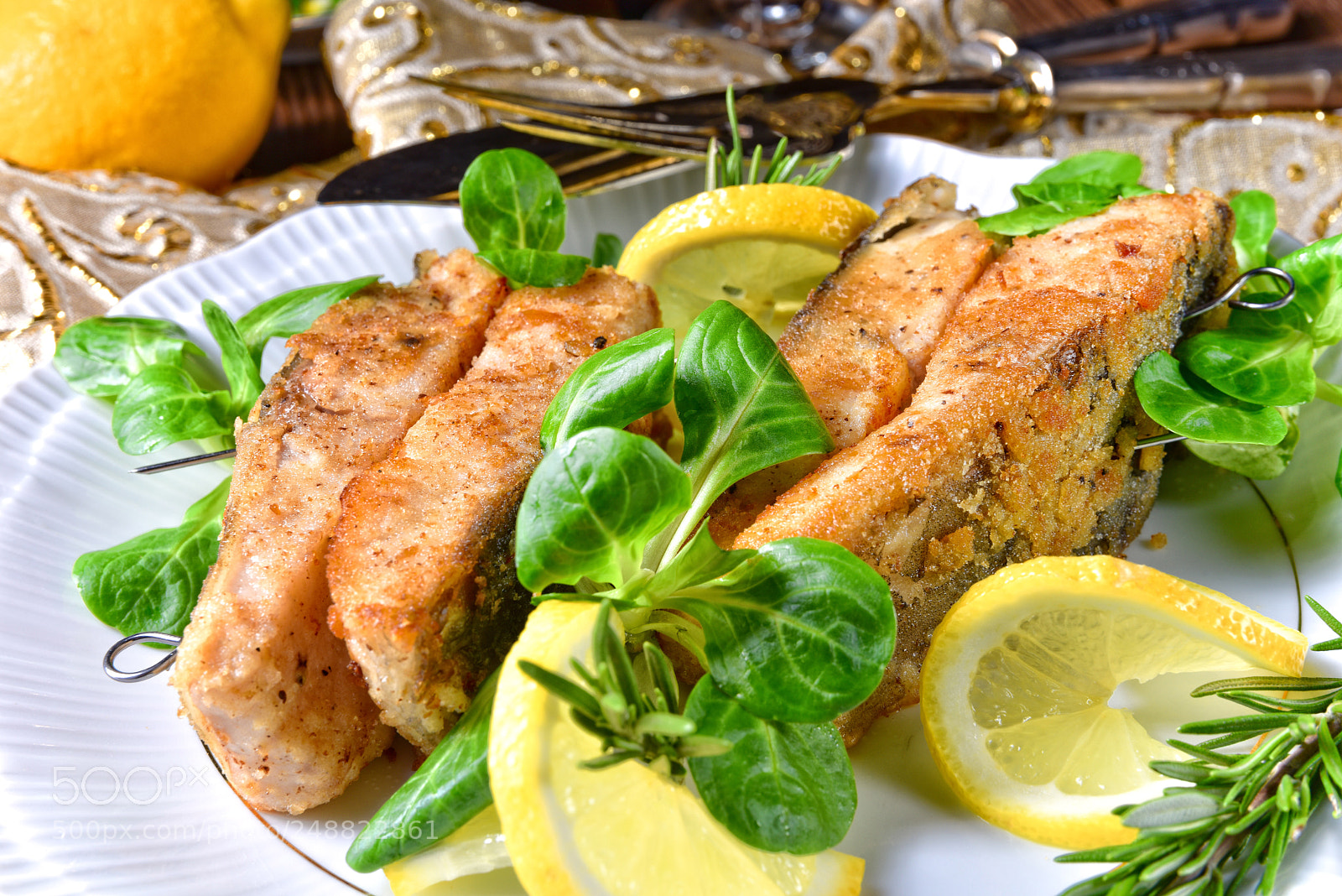 Nikon D810 sample photo. Fried carp fillet on photography