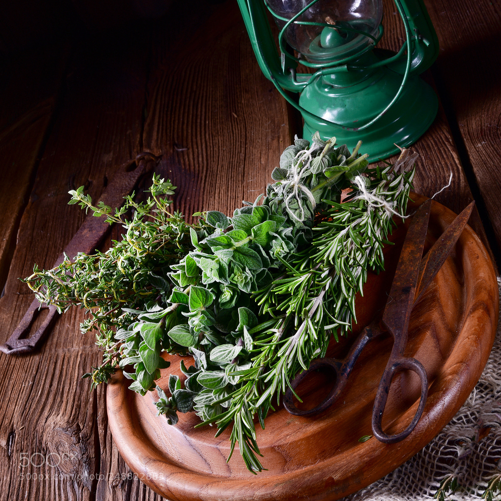 Nikon D810 sample photo. Herbal collection of thyme,oregano photography