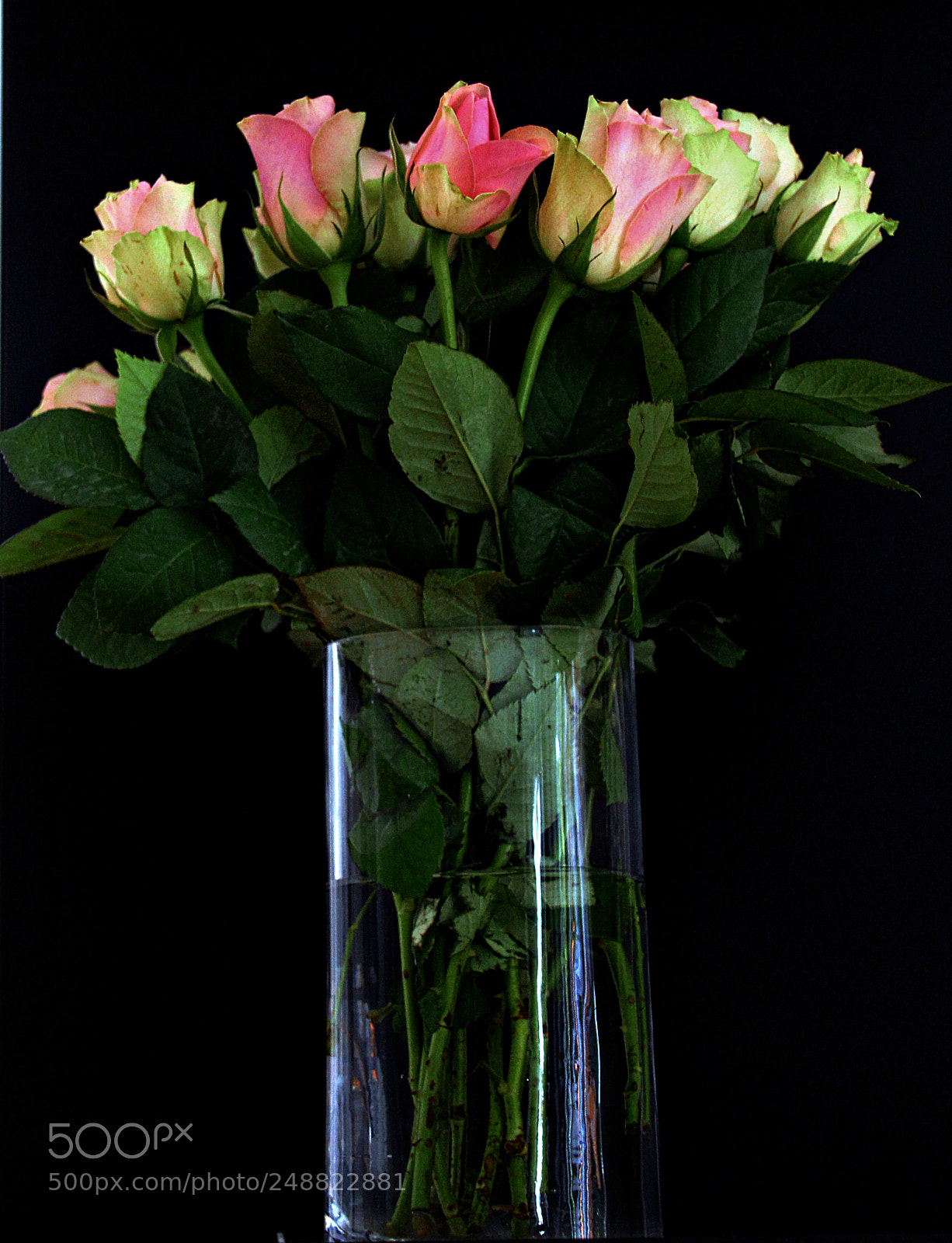 Canon EOS 1300D (EOS Rebel T6 / EOS Kiss X80) sample photo. Roses in vase photography