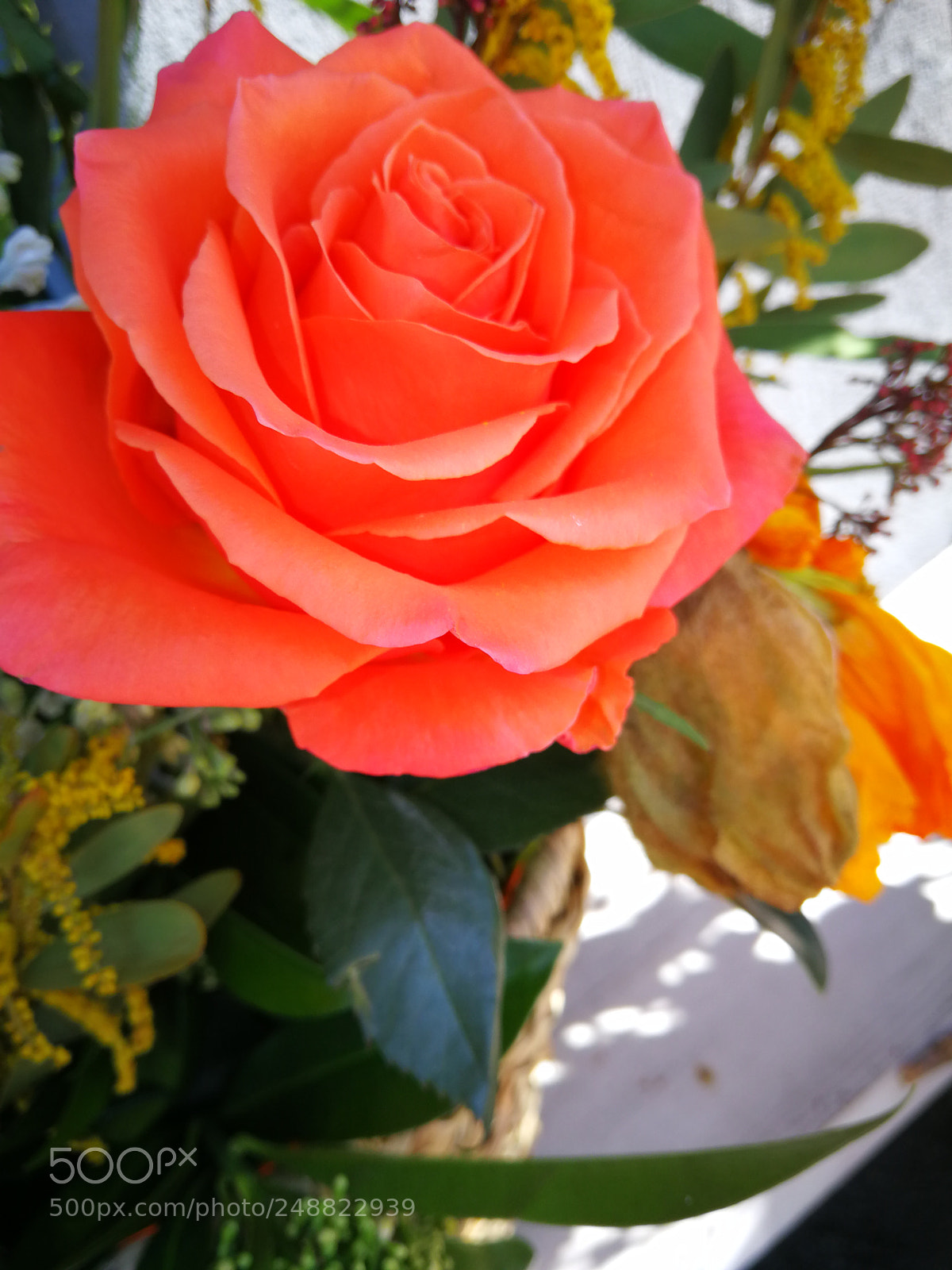 HUAWEI P10 sample photo. Untitled photography