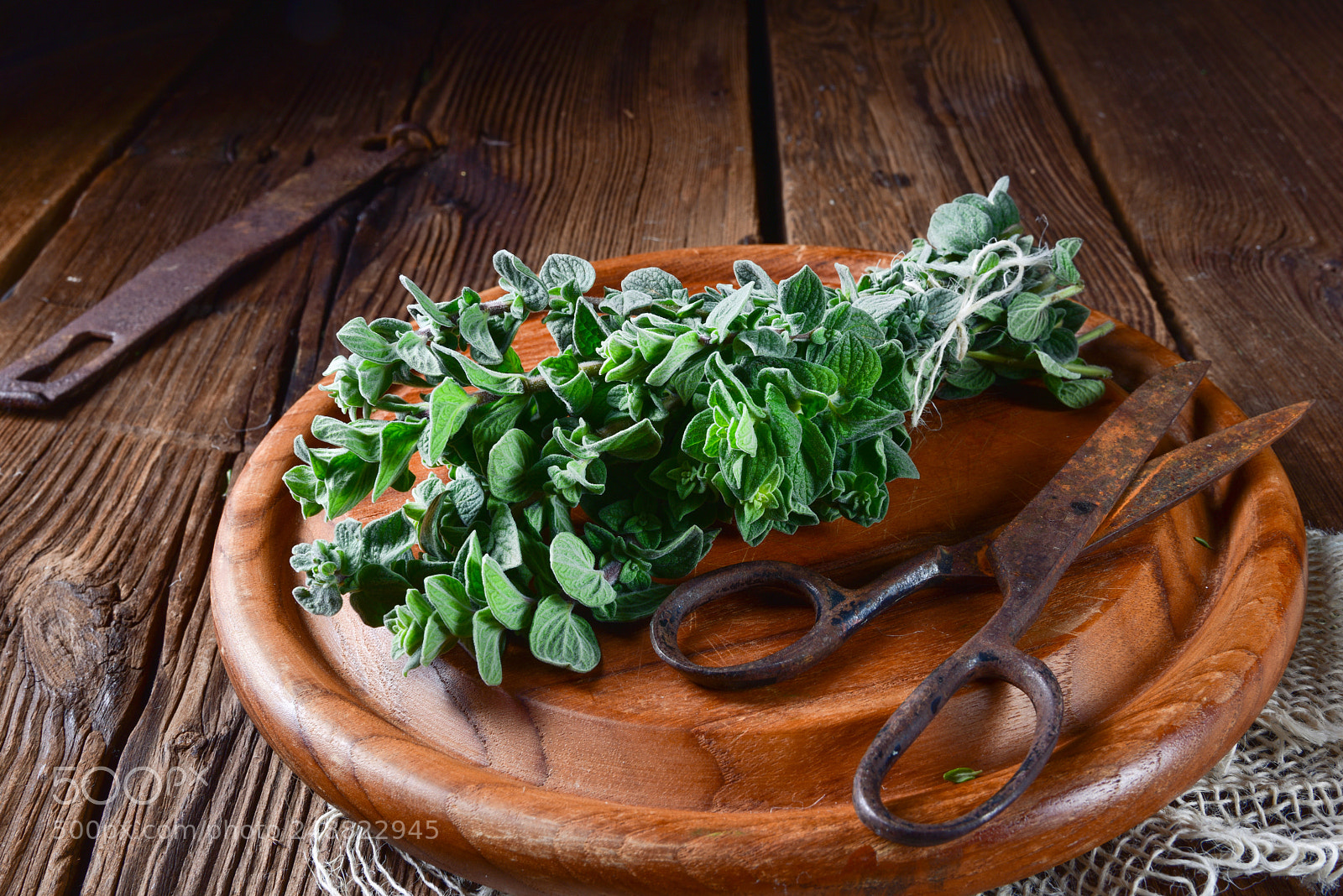Nikon D810 sample photo. Aromatische oregano (origanum vulgare) photography