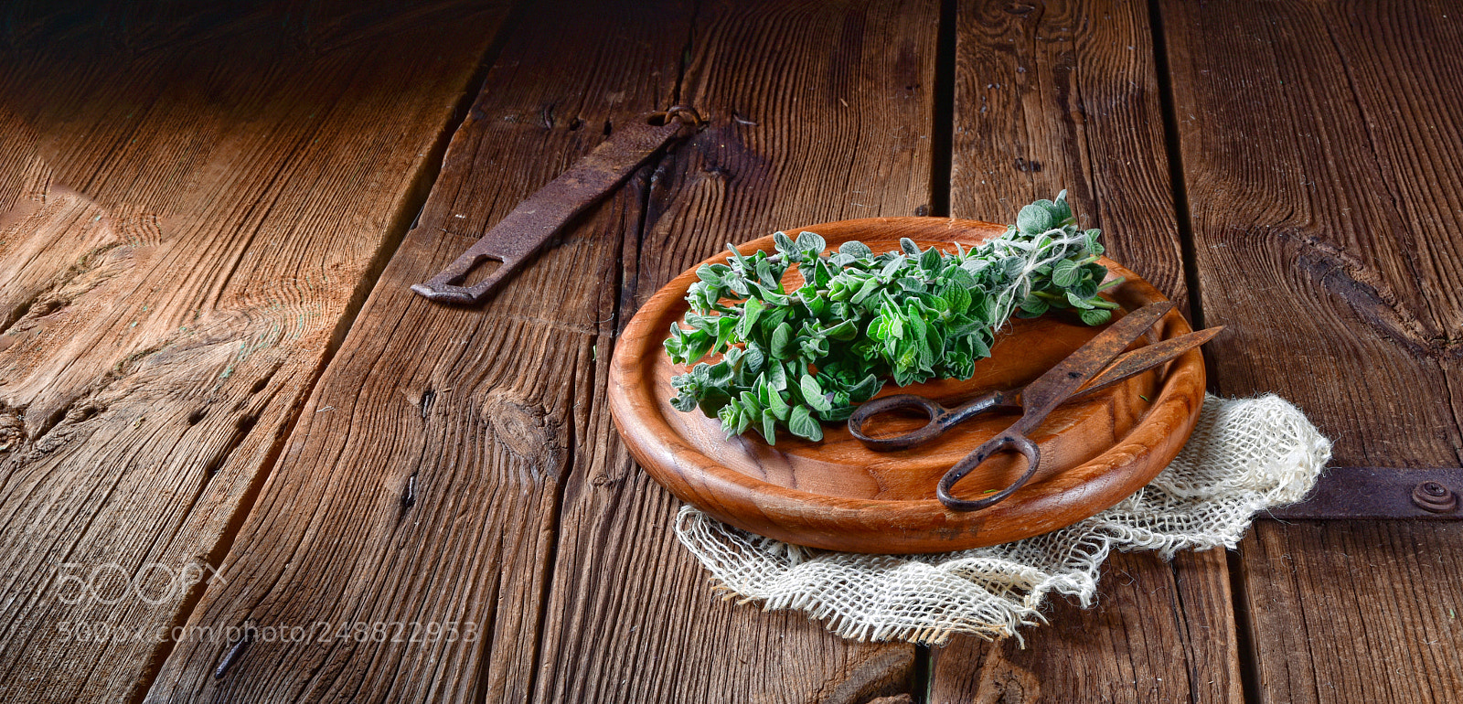 Nikon D810 sample photo. Aromatische oregano (origanum vulgare) photography
