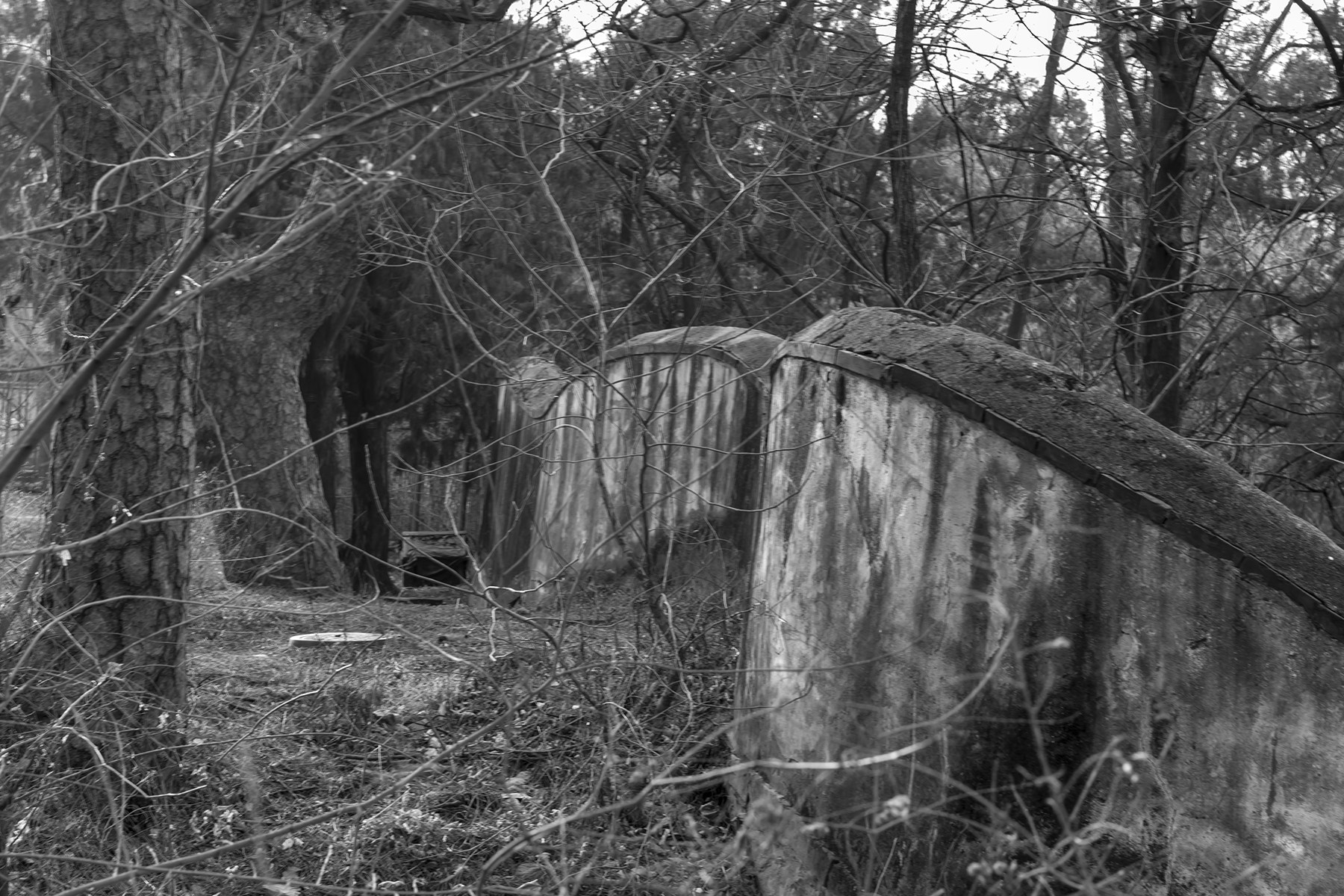 Leica M-Monochrom sample photo. 无题 photography