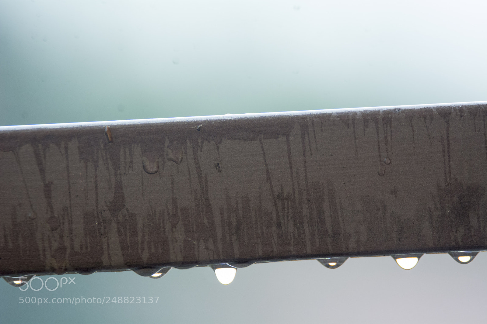 Nikon D7100 sample photo. Rain up to here photography