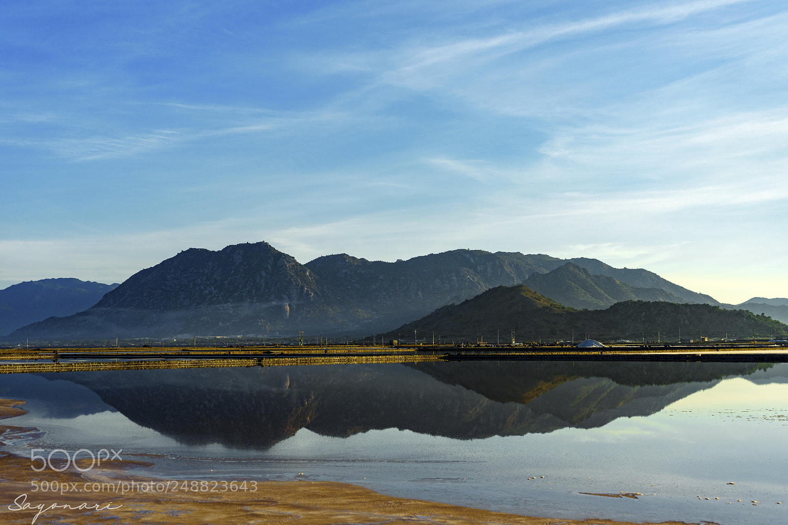 Sony a7 II sample photo. Dsc photography