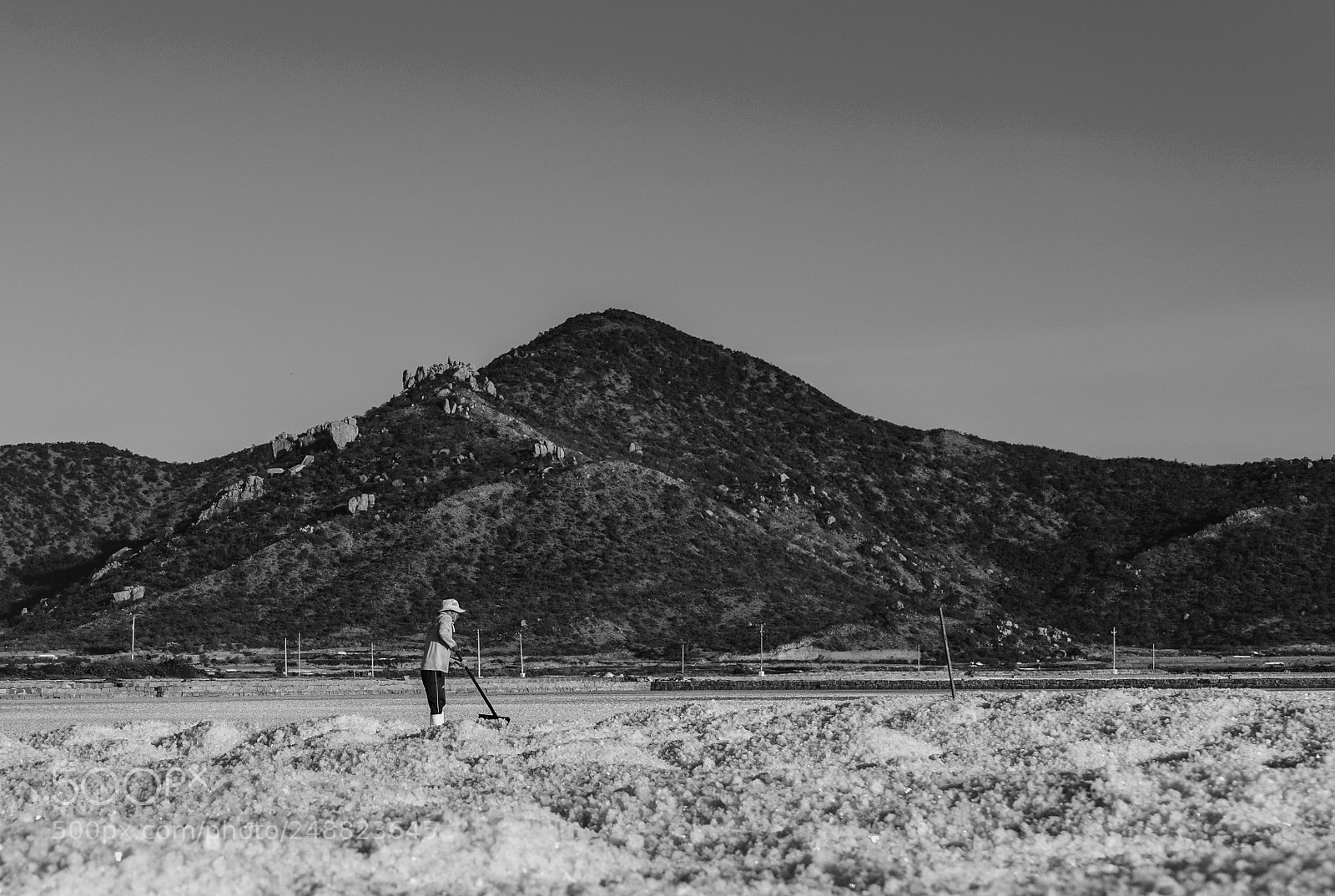 Sony a7 II sample photo. Dsc photography
