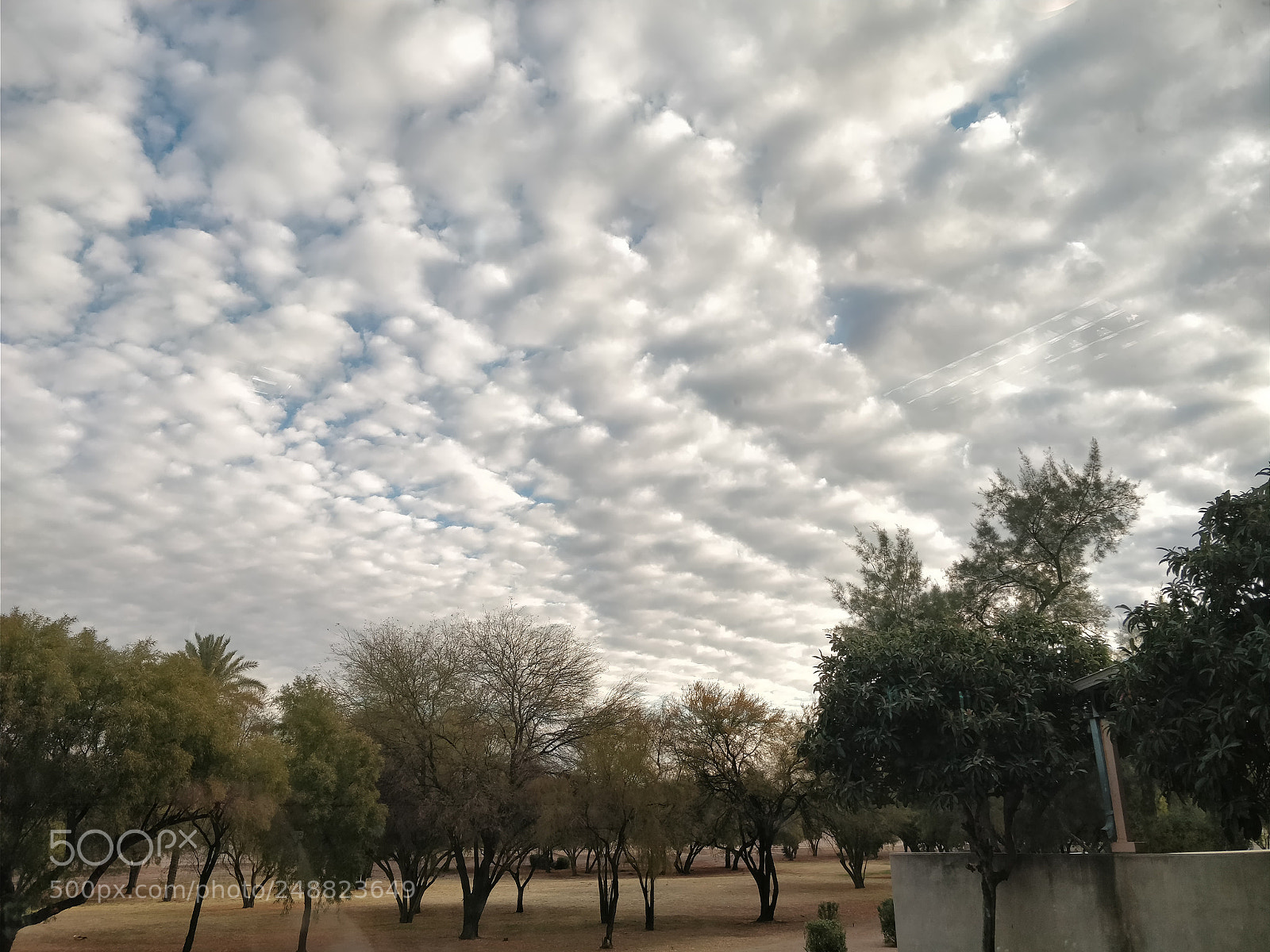 OnePlus 5 sample photo. Untitled photography