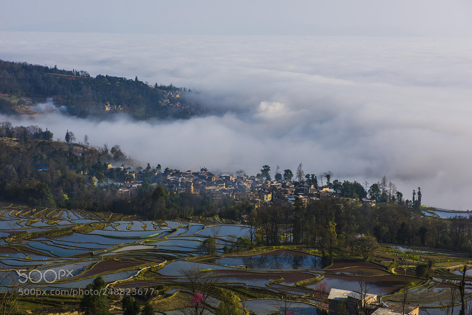 Nikon D810 sample photo. Yuanyang hani's terraced field photography