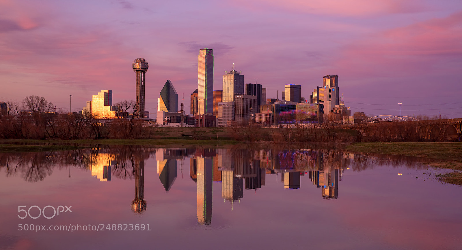 Nikon D810 sample photo. Dallas photography