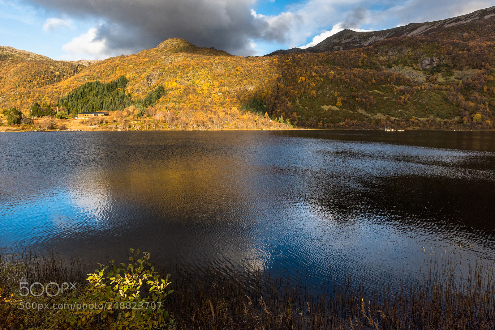 Nikon D810 sample photo. Hagskarveien. photography