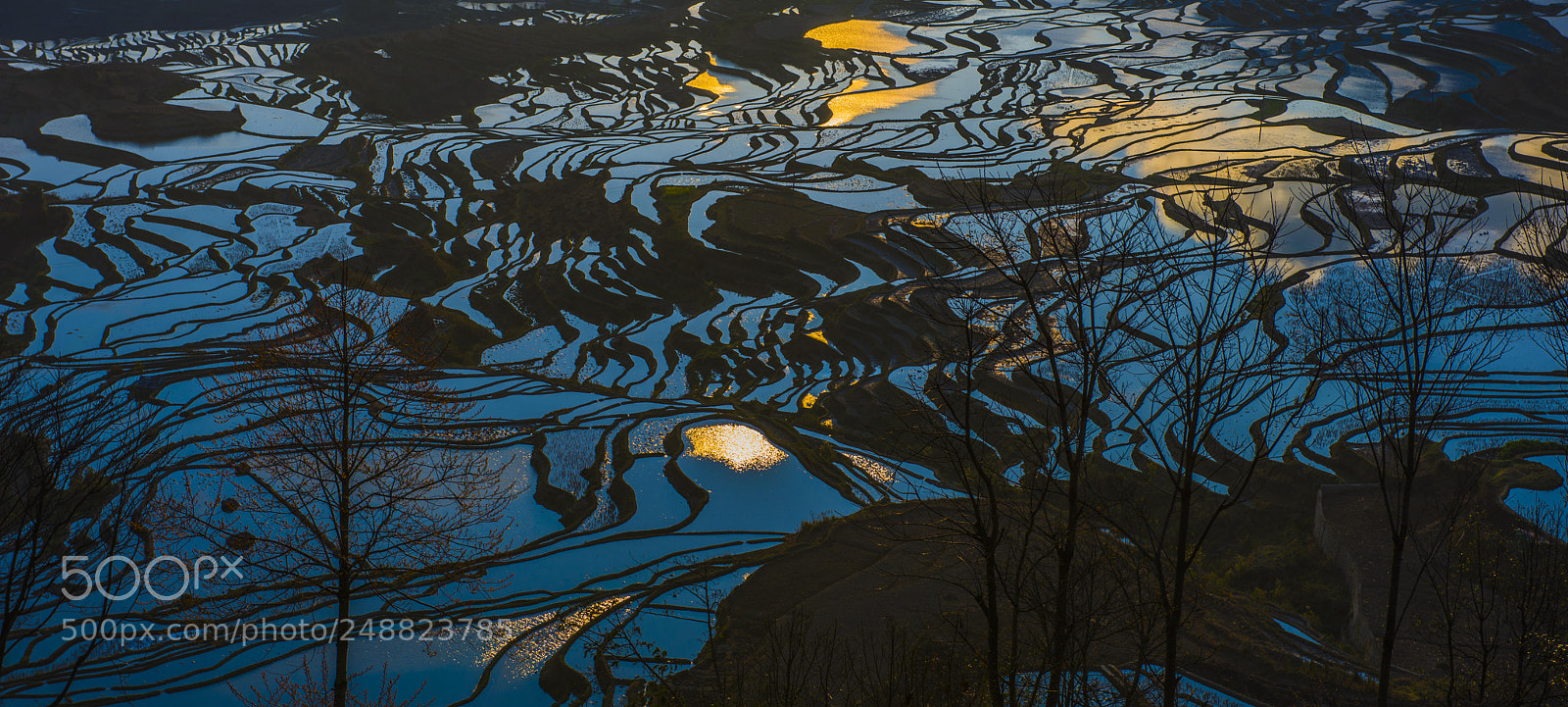 Nikon D810 sample photo. Yuanyang hani's terraced field photography