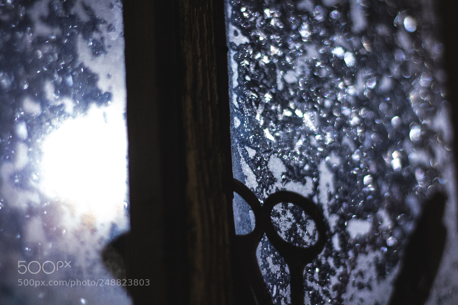 Canon EOS 600D (Rebel EOS T3i / EOS Kiss X5) sample photo. Hoarfrost photography
