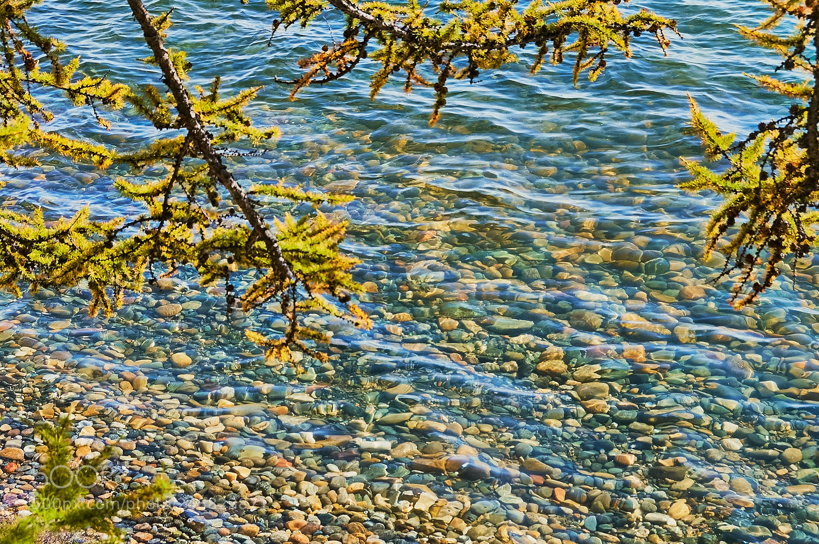 Nikon D70 sample photo. Байкал берег вода осень photography
