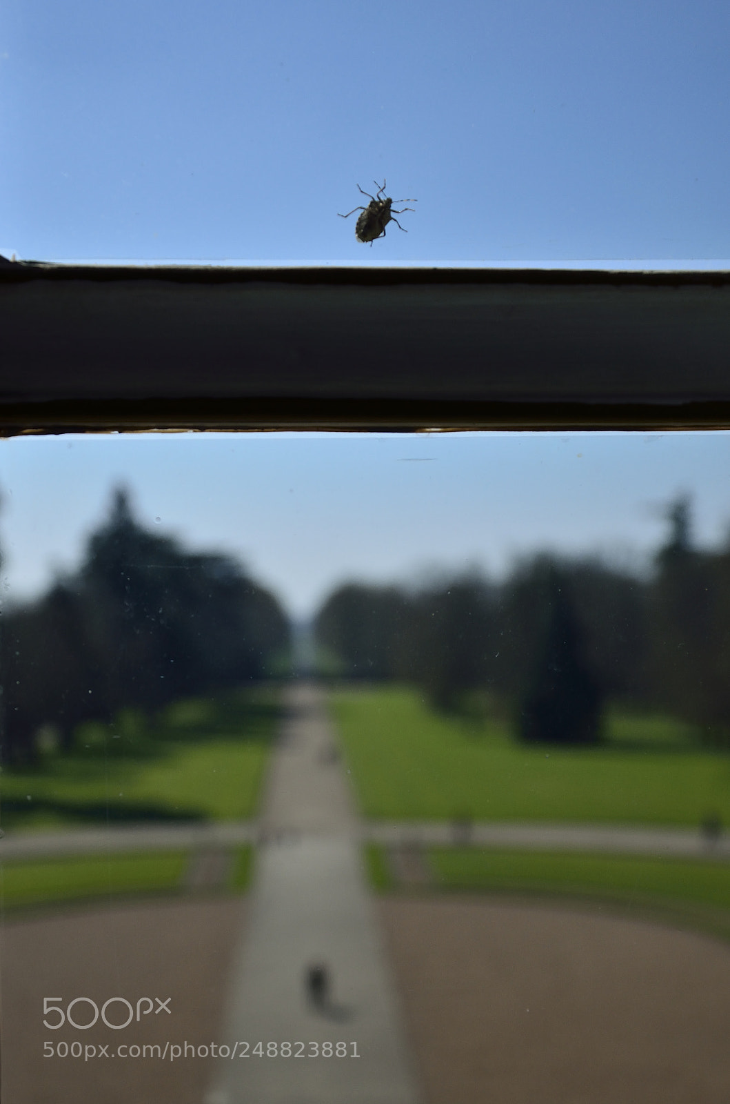 Nikon D5100 sample photo. Habiter au château photography