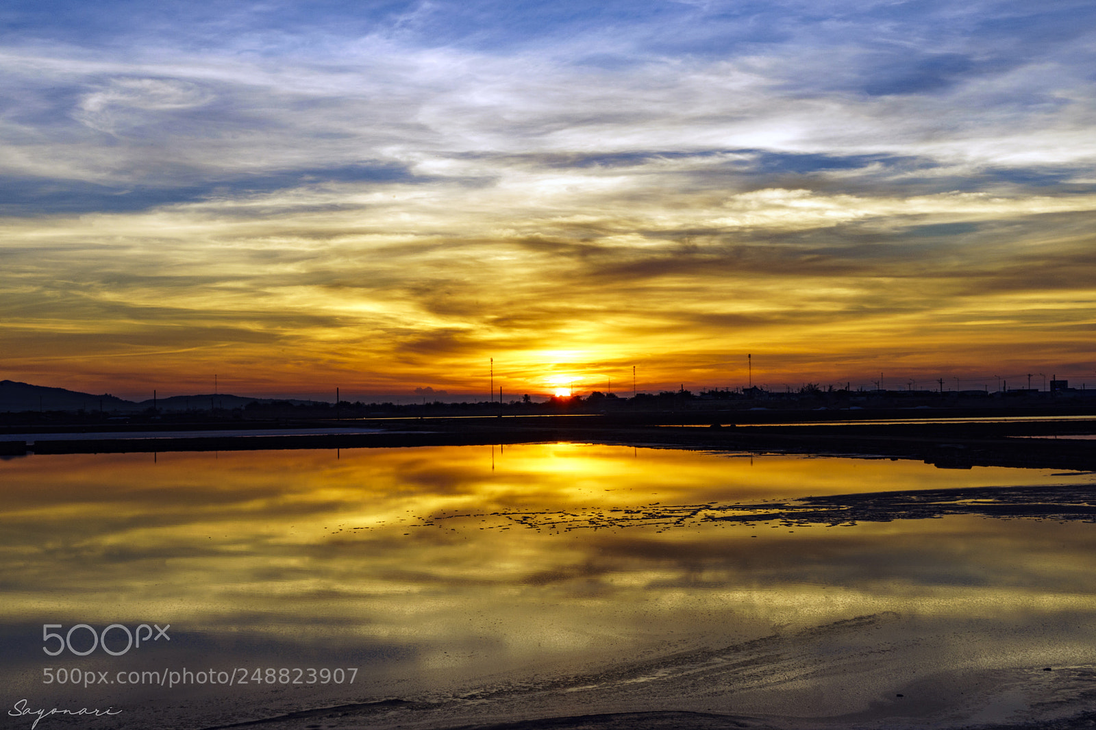 Sony a7 II sample photo. Dsc photography