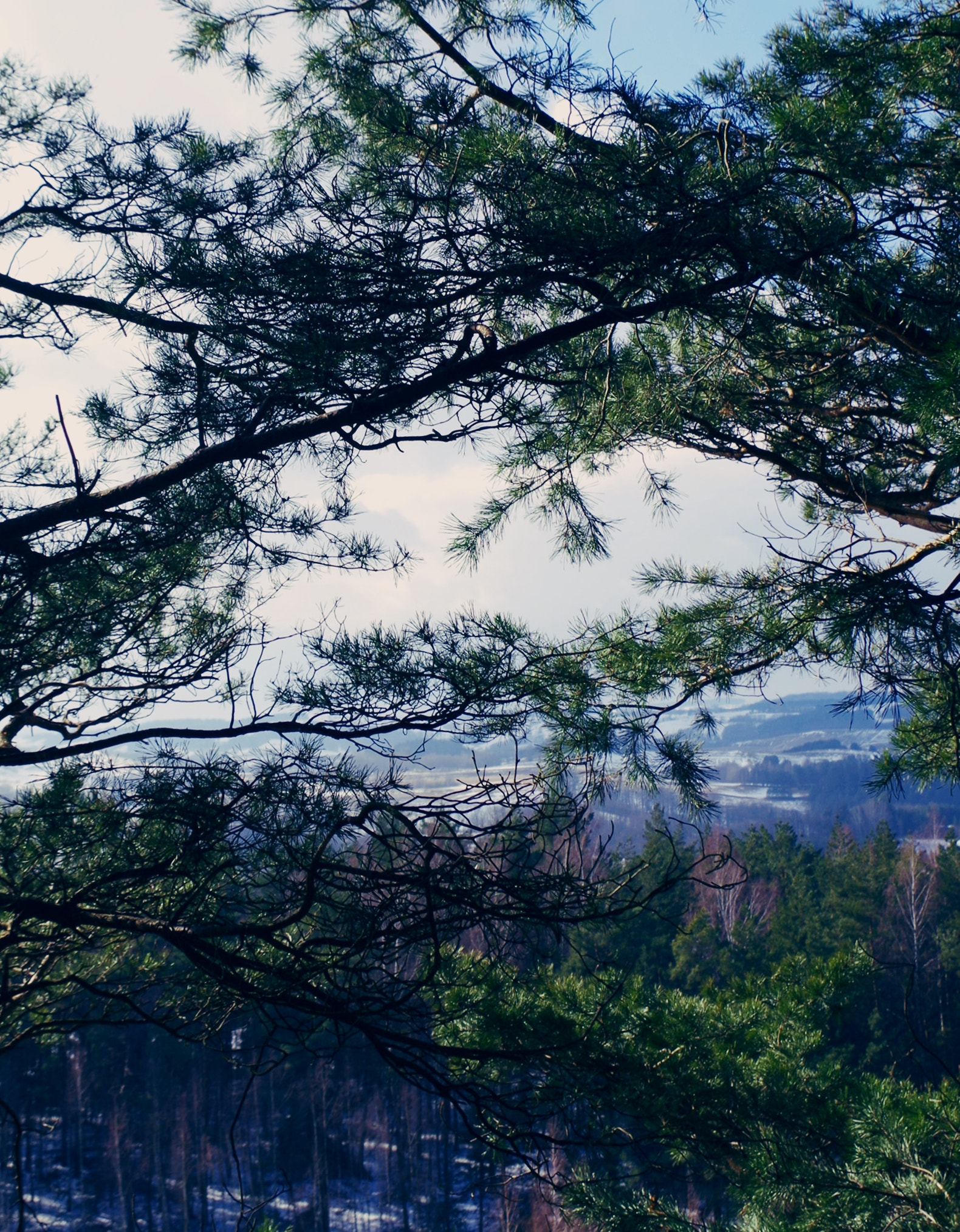 Pentax K-50 sample photo. From the hill photography