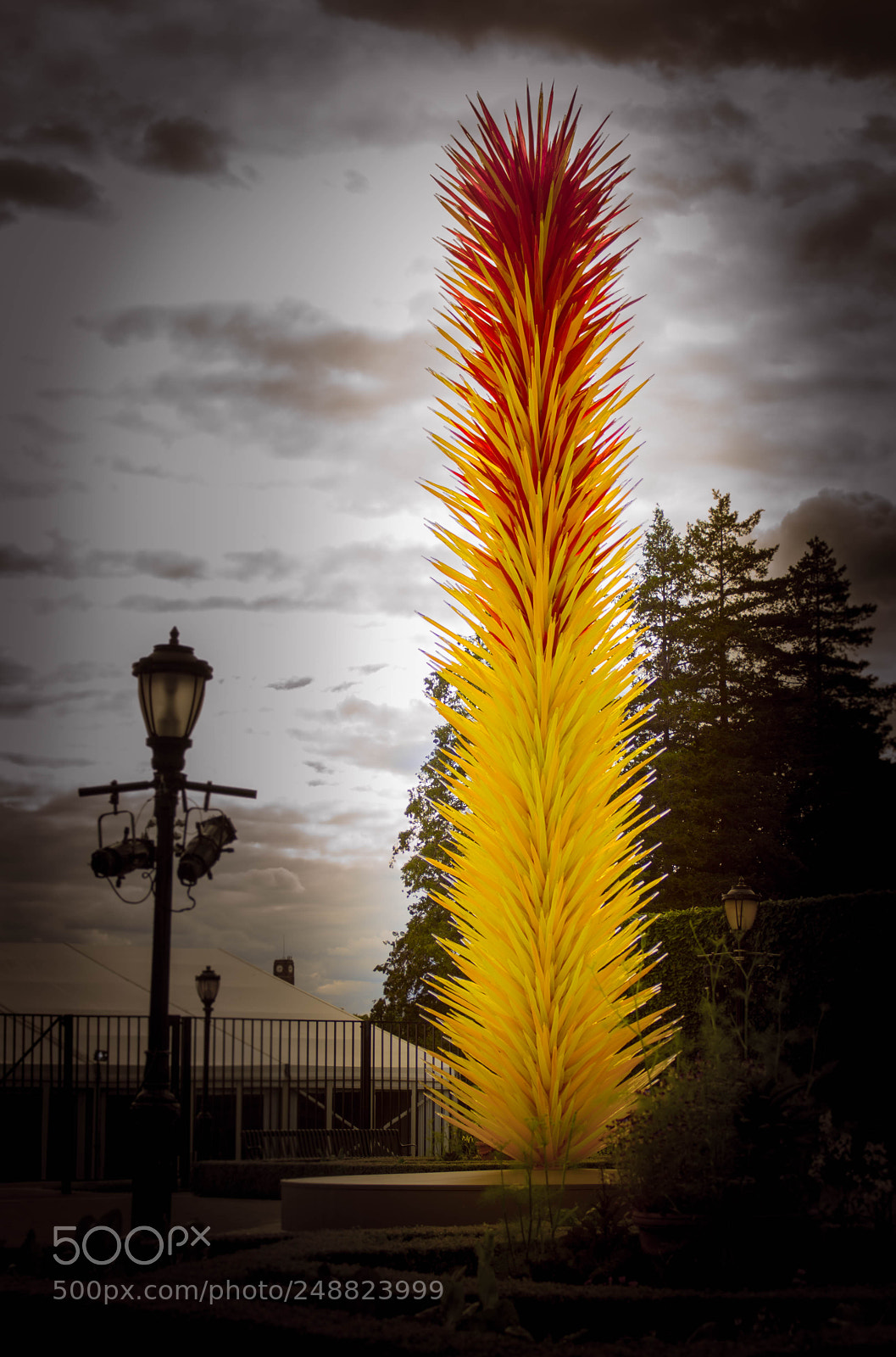 Sony a99 II sample photo. Dale chihuly 'scarlet and photography