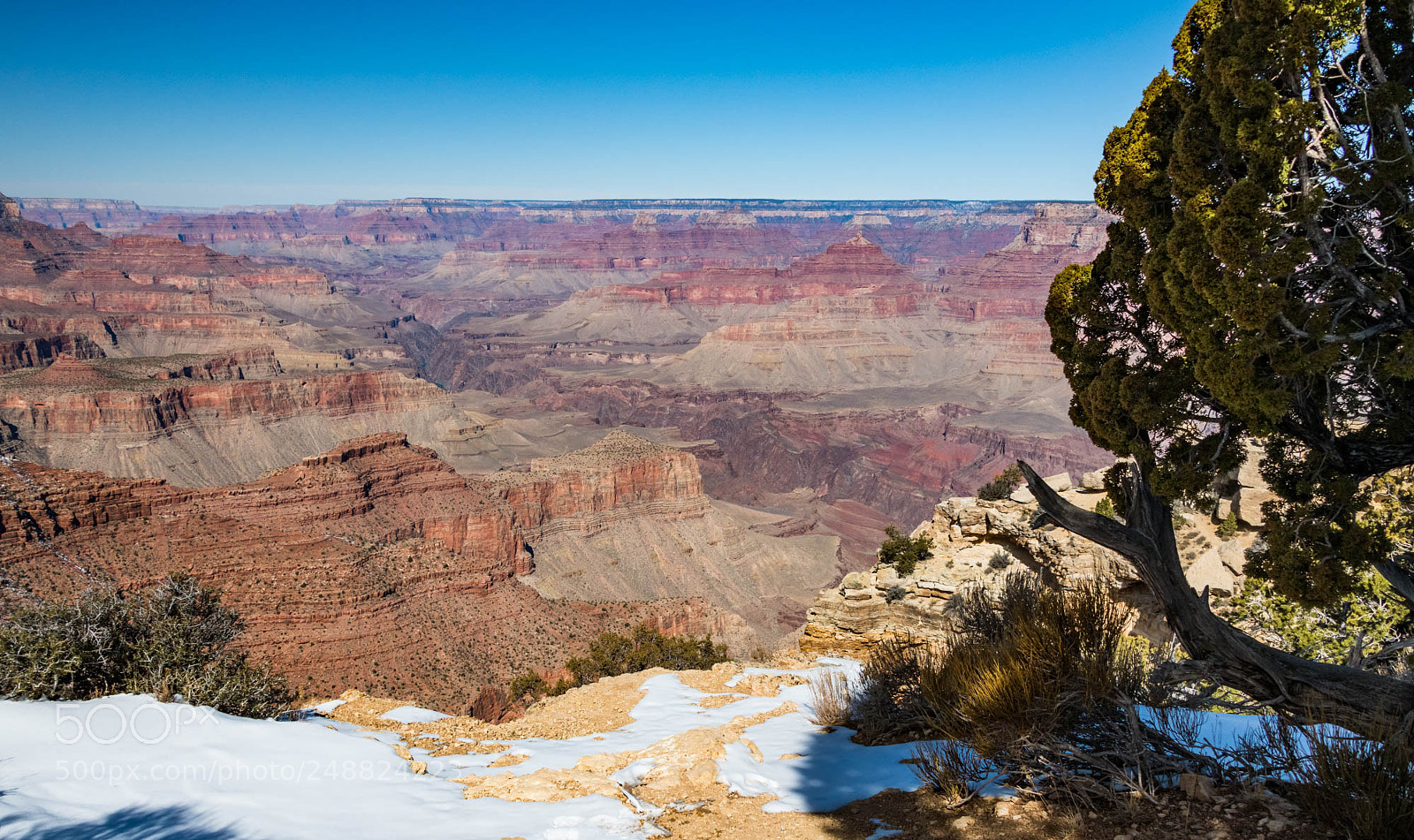 Nikon D850 sample photo. Grand canyon in late photography