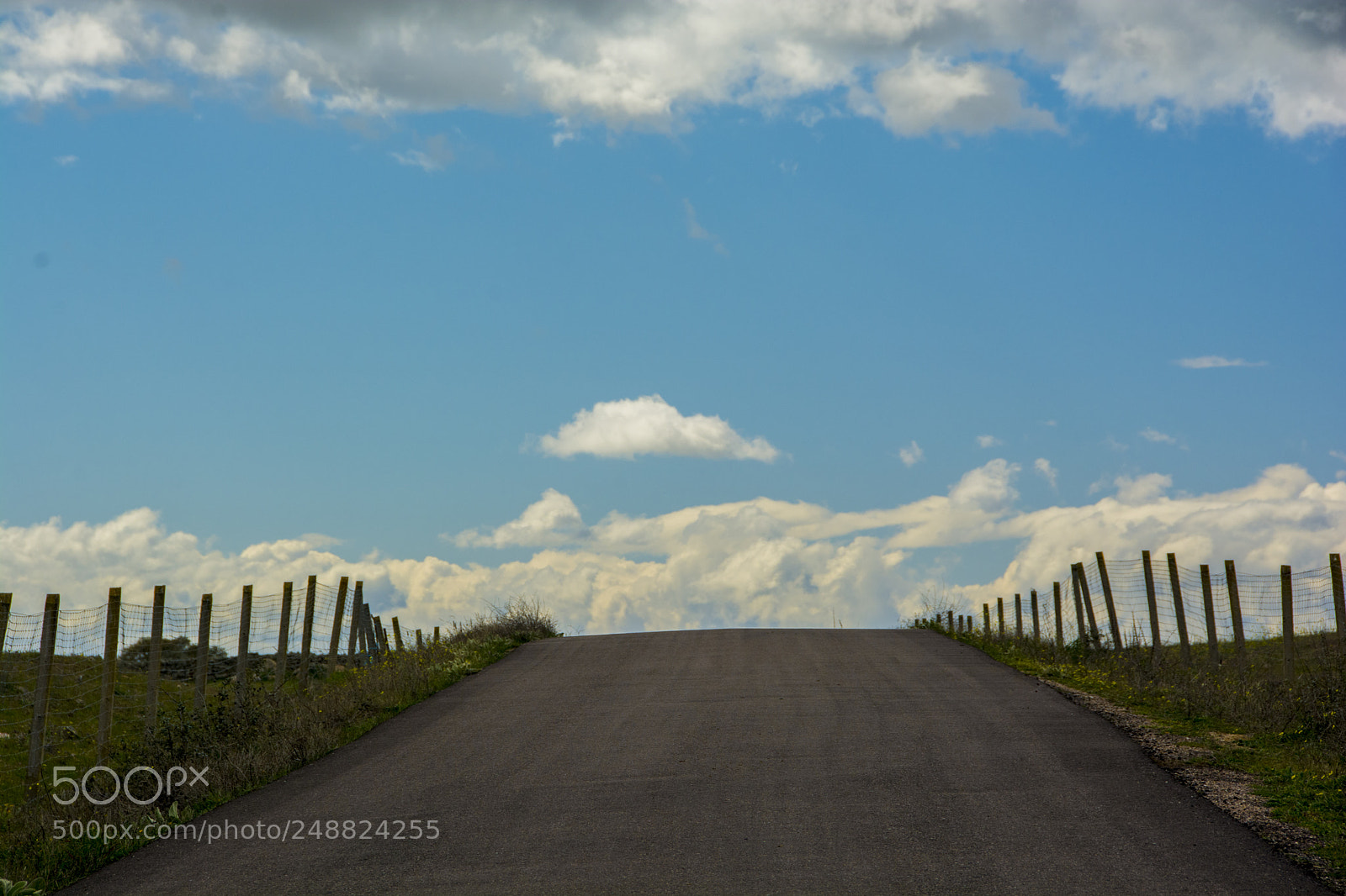 Nikon D7100 sample photo. Decf o photography