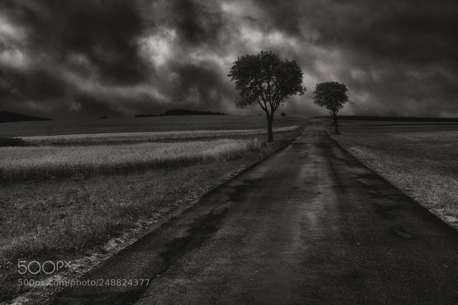 Nikon D7100 sample photo. Dark day photography