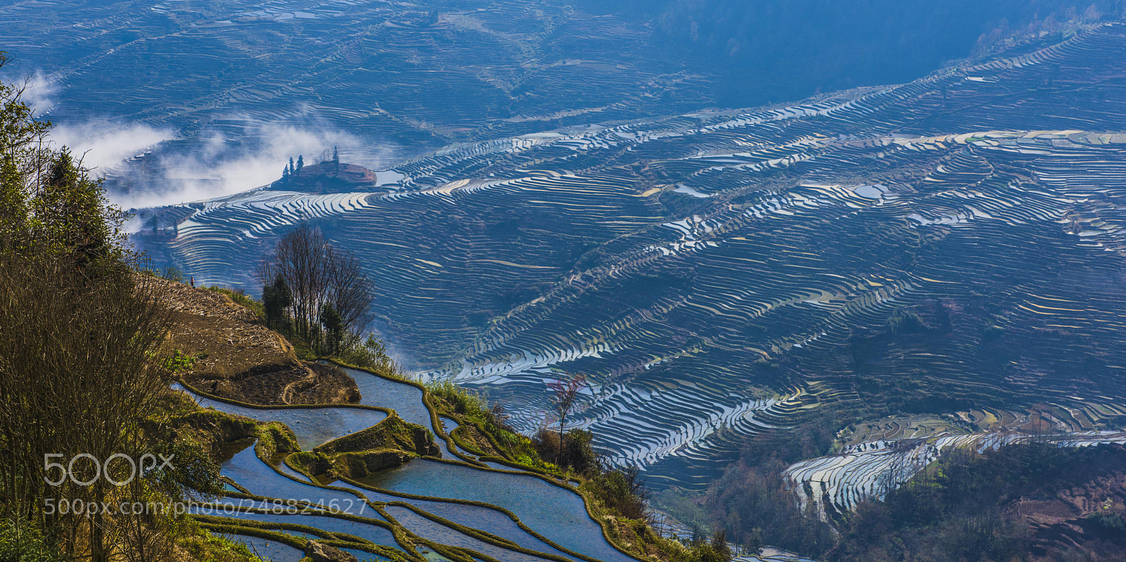 Nikon D810 sample photo. Yuanyang hani's terraced field photography
