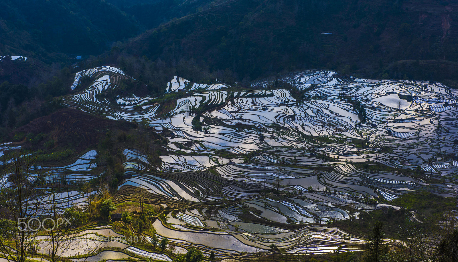 Nikon D810 sample photo. Yuanyang hani's terraced field photography