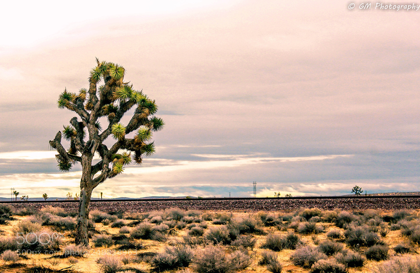 Canon EOS 1200D (EOS Rebel T5 / EOS Kiss X70 / EOS Hi) sample photo. Nevada desert..!! photography