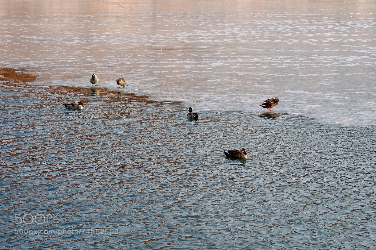 Sony Cyber-shot DSC-RX100 IV sample photo. At sunset photography