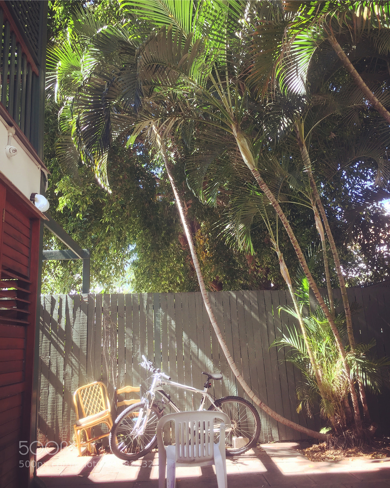 Apple iPhone 6 sample photo. My yard photography